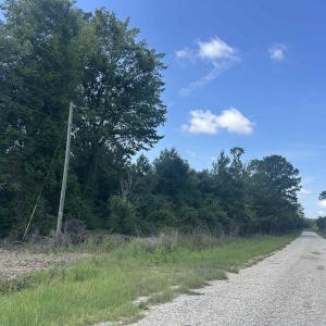 Photo #20 of TBD Pearlie Dr., Dillon, SC 105.0 acres
