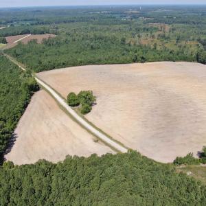 Photo #14 of TBD Pearlie Dr., Dillon, SC 105.0 acres
