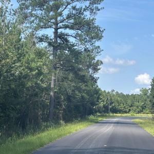 Photo #23 of TBD Pearlie Dr., Dillon, SC 105.0 acres