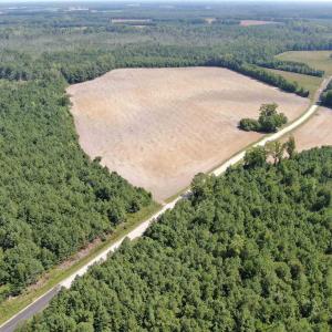 Photo #12 of TBD Pearlie Dr., Dillon, SC 105.0 acres