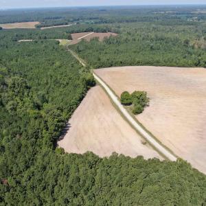 Photo #15 of TBD Pearlie Dr., Dillon, SC 105.0 acres