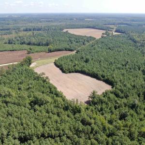 Photo #9 of TBD Pearlie Dr., Dillon, SC 105.0 acres