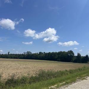 Photo #17 of TBD Pearlie Dr., Dillon, SC 105.0 acres