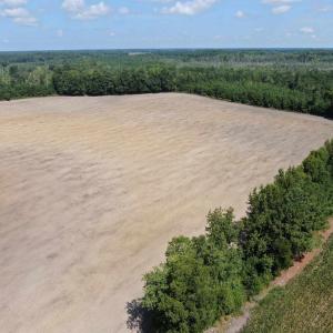 Photo #16 of TBD Pearlie Dr., Dillon, SC 105.0 acres
