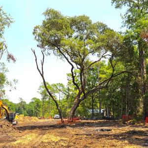 Photo #3 of 885 Martin Luther King Rd., Pawleys Island, SC 3.5 acres