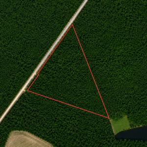 Photo #2 of TBD Wolf Pit Bay Rd., Nichols, SC 9.7 acres