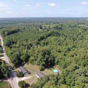 Photo #8 of TBD Mount Calvary Rd., Dillon, SC 146.5 acres