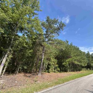 Photo #14 of TBD Mount Calvary Rd., Dillon, SC 146.5 acres