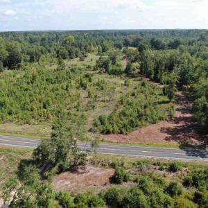 Photo #5 of TBD Mount Calvary Rd., Dillon, SC 146.5 acres