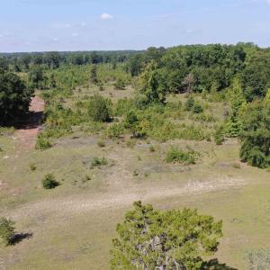 Photo #11 of TBD Mount Calvary Rd., Dillon, SC 146.5 acres