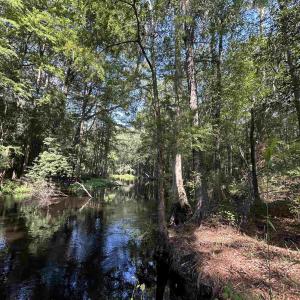 Photo #1 of TBD Mount Calvary Rd., Dillon, SC 146.5 acres
