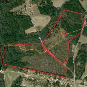 Photo #25 of TBD Mount Calvary Rd., Dillon, SC 146.5 acres