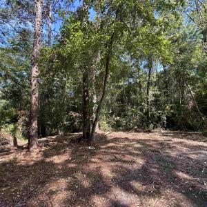 Photo #20 of TBD Mount Calvary Rd., Dillon, SC 146.5 acres