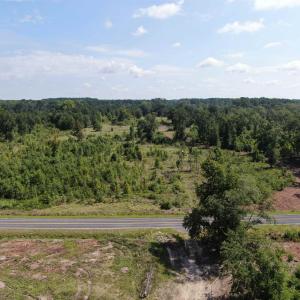 Photo #3 of TBD Mount Calvary Rd., Dillon, SC 146.5 acres