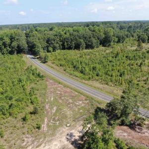 Photo #4 of TBD Mount Calvary Rd., Dillon, SC 146.5 acres