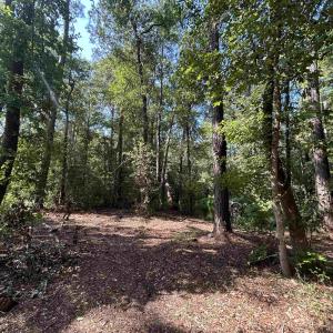 Photo #19 of TBD Mount Calvary Rd., Dillon, SC 146.5 acres