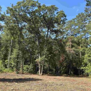 Photo #18 of TBD Mount Calvary Rd., Dillon, SC 146.5 acres