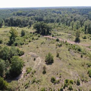 Photo #10 of TBD Mount Calvary Rd., Dillon, SC 146.5 acres