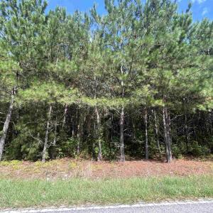 Photo #15 of TBD Mount Calvary Rd., Dillon, SC 146.5 acres