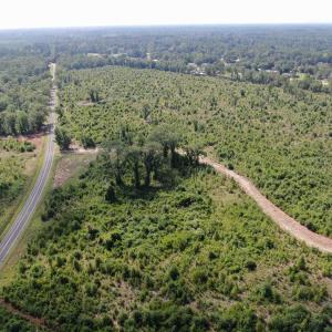 Photo #7 of TBD Mount Calvary Rd., Dillon, SC 146.5 acres