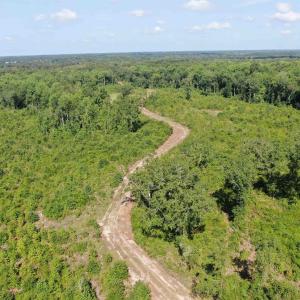Photo #6 of TBD Mount Calvary Rd., Dillon, SC 146.5 acres