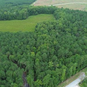 Photo #4 of LOT 2 Fries Bay Rd., Loris, SC 2.7 acres