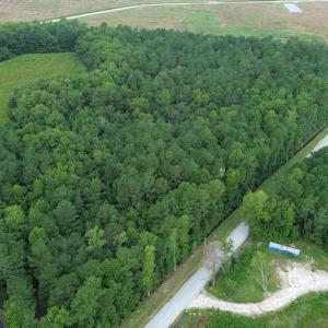Photo #3 of Lot 3 Fries Bay Rd., Loris, SC 2.7 acres