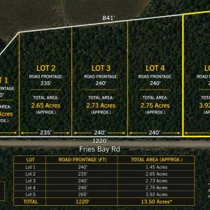 Photo #1 of LOT 5 Fries Bay Rd., Loris, SC 3.9 acres