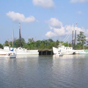 Photo #7 of Lot 153 Cravens St., Georgetown, SC 0.2 acres