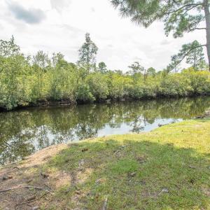 Photo #5 of 1569 Highway 701 South, Loris, SC 2.0 acres
