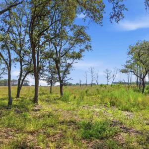 Photo #11 of 279 Midden Ln., Pawleys Island, SC 1.9 acres