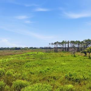 Photo #15 of 279 Midden Ln., Pawleys Island, SC 1.9 acres