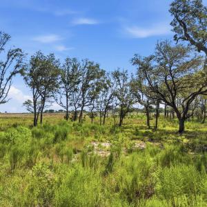 Photo #14 of 279 Midden Ln., Pawleys Island, SC 1.9 acres