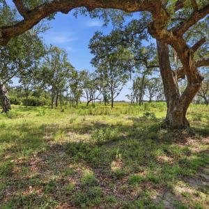 Photo #13 of 279 Midden Ln., Pawleys Island, SC 1.9 acres