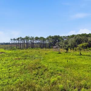 Photo #23 of 279 Midden Ln., Pawleys Island, SC 1.9 acres