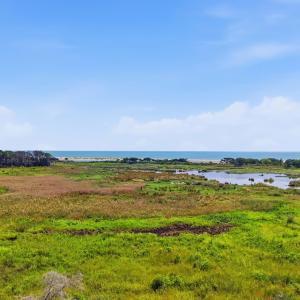Photo #2 of 279 Midden Ln., Pawleys Island, SC 1.9 acres