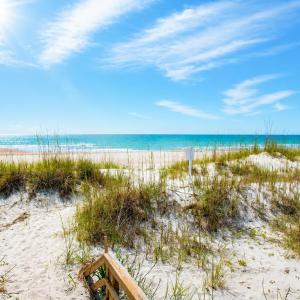 Photo #39 of 279 Midden Ln., Pawleys Island, SC 1.9 acres