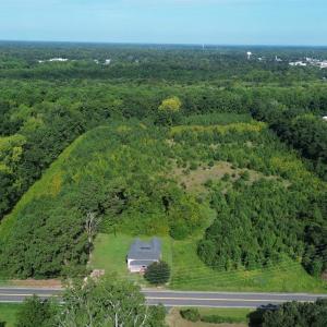 Photo #5 of 1292 Bloomville Rd., Manning, SC 12.7 acres