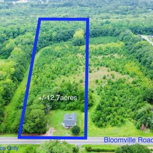 Photo #1 of 1292 Bloomville Rd., Manning, SC 12.7 acres