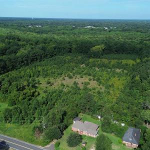 Photo #4 of 1292 Bloomville Rd., Manning, SC 12.7 acres