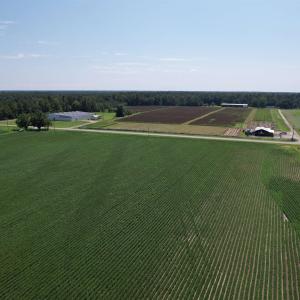 Photo #4 of Lot 3 - Sumter Hwy., Kingstree, SC 4.1 acres