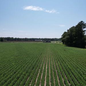 Photo #2 of Lot 3 - Sumter Hwy., Kingstree, SC 4.1 acres