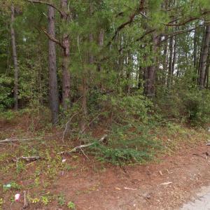 Photo #4 of 1.43 Acres - Hemlock St., Andrews, SC 1.4 acres