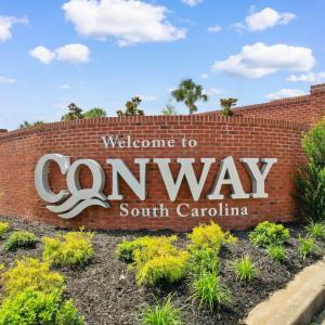 Photo #23 of 150 Landmark Rd., Conway, SC 8.6 acres
