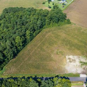 Photo #2 of TBD  Lot 2 Birchfield Dr., Loris, SC 5.0 acres