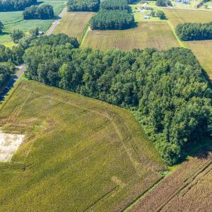 Photo #4 of TBD  Lot 2 Birchfield Dr., Loris, SC 5.0 acres