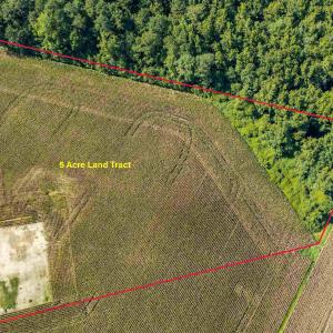 Photo #12 of TBD  Lot 2 Birchfield Dr., Loris, SC 5.0 acres