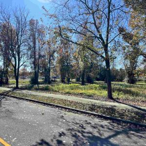 Photo #9 of 4451 Oleander Dr., Myrtle Beach, SC 0.8 acres