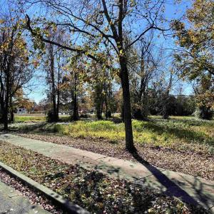 Photo #7 of 4451 Oleander Dr., Myrtle Beach, SC 0.8 acres