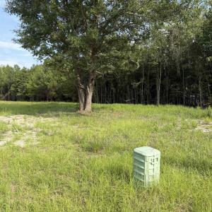 Photo #9 of TBD Hayfield Rd., Georgetown, SC 1.0 acres